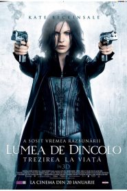 Lumea de dincolo: Trezirea la viață