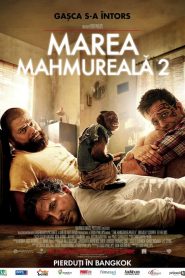 Marea mahmureală partea II