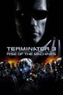 Terminatorul 3